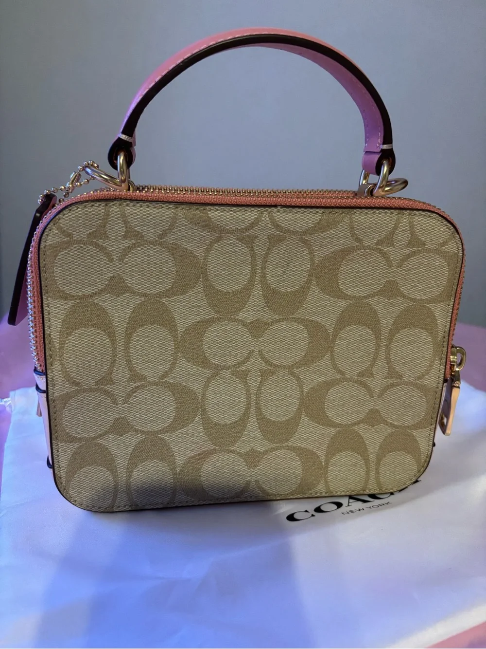 NWT Disney x Coach Cinderella Patches Box Crossbody Bag Signature Canvas C1426